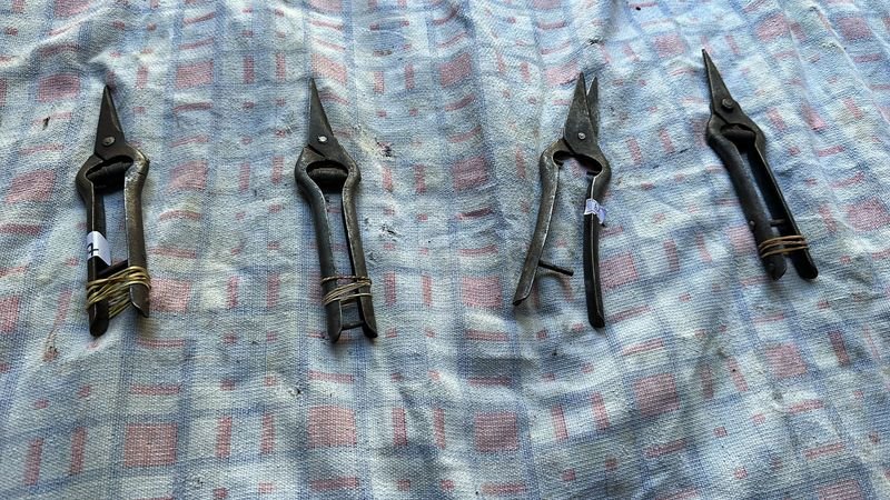 Tijeras de cortar uva en buen estado - imagen 2