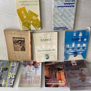 Lote siguiente: Colección de Libros de Fulvio Nelson Maddalena y Luis Carro