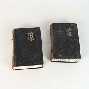 2 Libros Antiguos de Rubén Darío y José Martí, Tapa de Cuero Dorado - imagen 1