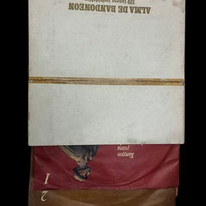 Colección 11 Vinilos Alma de Bandoneón - Tangos Inolvidables RCA - imagen 2