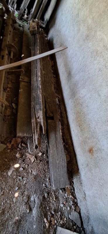 Trenes de vía abandonados - imagen 2