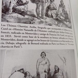 Libro Histórico "El Puerto de Montevideo" Profusamente Ilustrado (1860-1930) - imagen 4