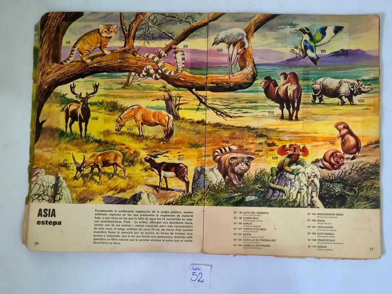 Item 844753 - Image 8