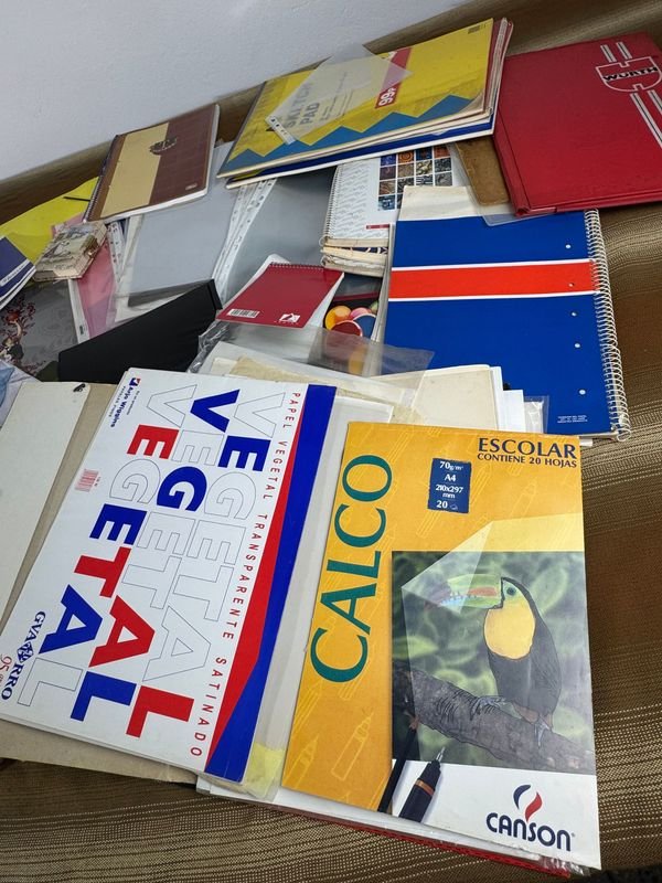 Lote de Papelería Nuevo y de Calidad - imagen 5