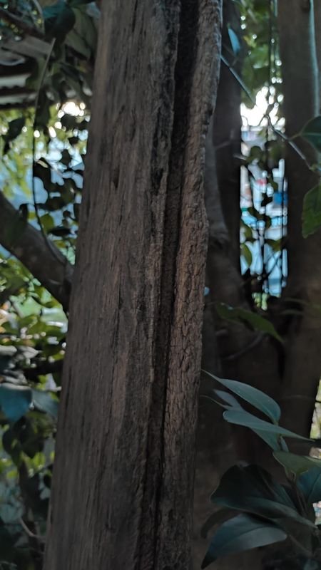 Item 880474 - Image 2