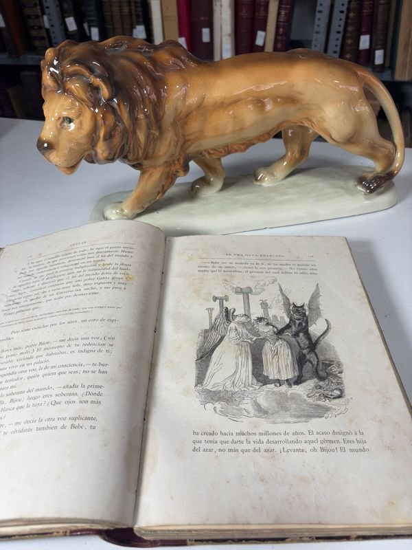 Item 885478 - Image 5