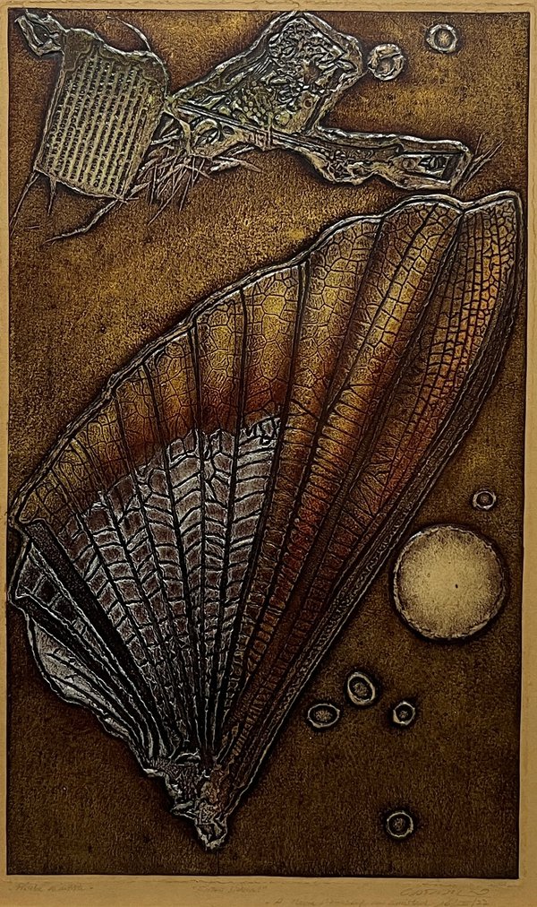 Rimer Cardillo "Élitro Sideral" Grabado P/A 50x30 cm Firmado - imagen 1