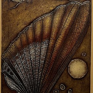 Rimer Cardillo "Élitro Sideral" Grabado P/A 50x30 cm Firmado - imagen 1