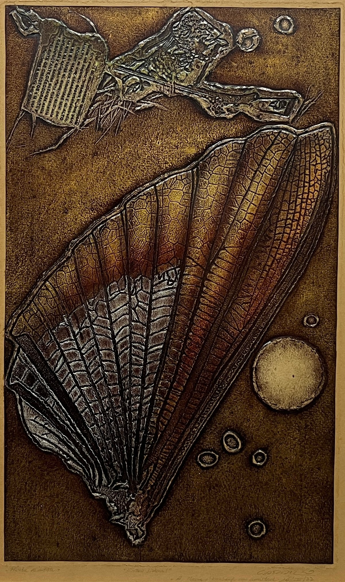 Rimer Cardillo "Élitro Sideral" Grabado P/A 50x30 cm Firmado