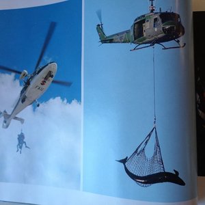 Libro "Fuerza Aérea Uruguaya" con Fotografías Históricas - imagen 11