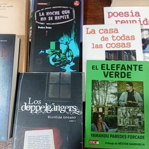 Lote de 16 Libros: Narrativa, Poesía, Teatro y Más - imagen 3