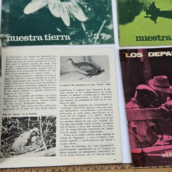 Libros sobre temas del Uruguay - imagen 2
