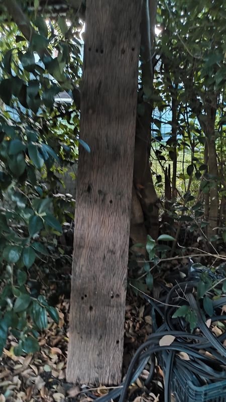 Item 880474 - Image 0