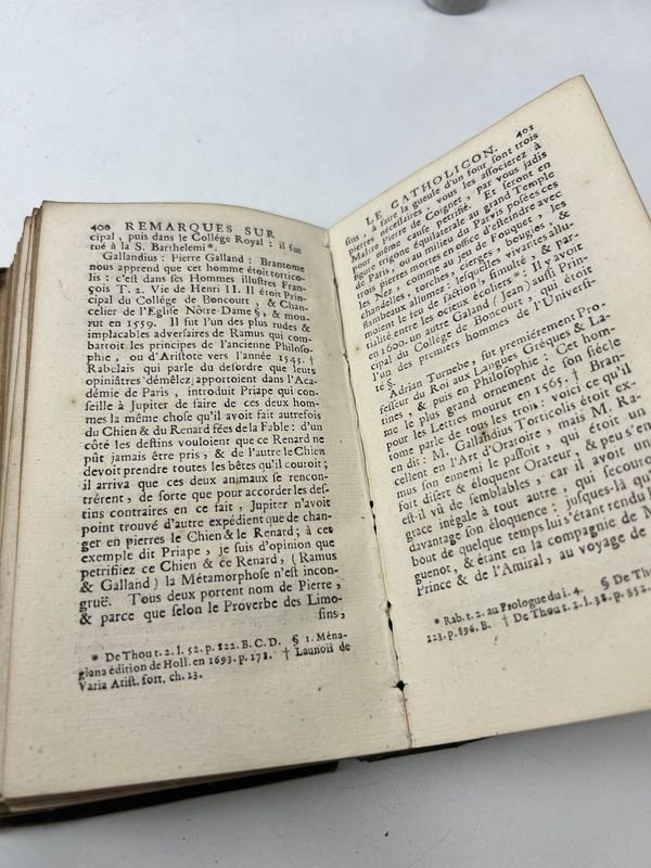 Libro satírico del siglo XVII: Sátira menipea sobre la virtud del catolicón de España y los Estados de París - imagen 4