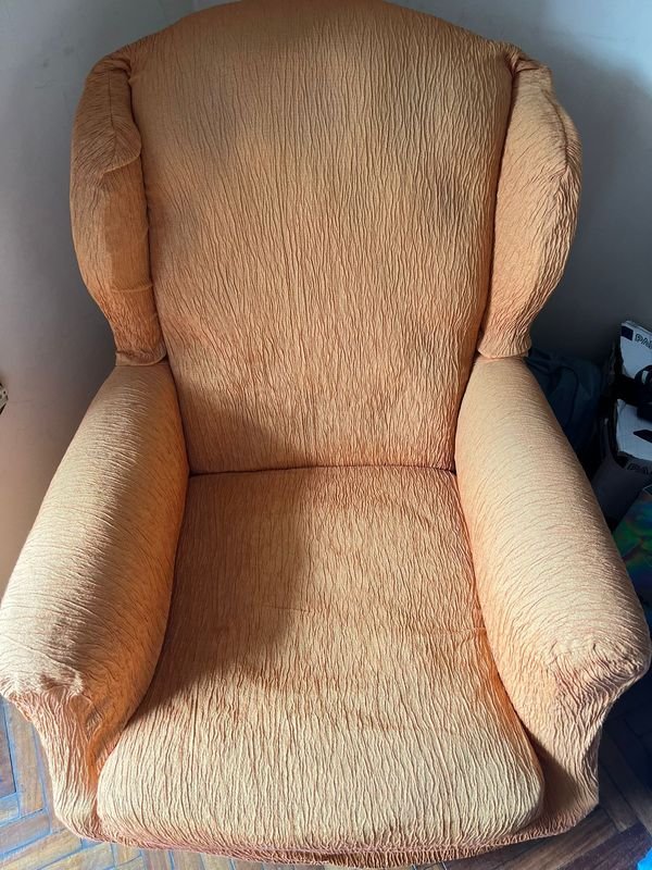 Sillón bergere con funda de cuero - imagen 5