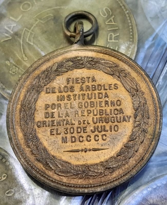 Item 874640 - Image 1