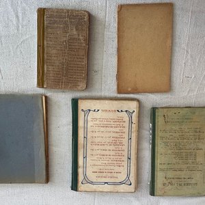 Lote de Libros Antiguos de Botánica, Insectos y Agricultura (1901-1940) - imagen 4