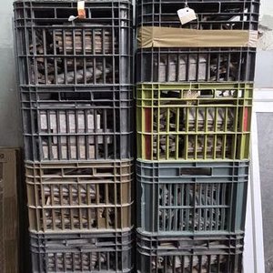 Lote siguiente: 18 Cajones con Parquet de Lapacho Usado