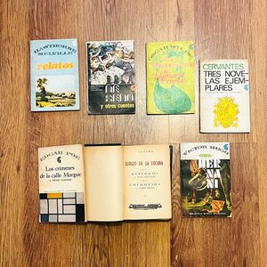 Selección de Clásicos Literarios: Wilde, Poe, Cervantes y Más - imagen 1