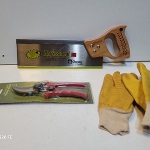 Lote anterior: Set de Jardinería: Serrucho, Tijera de Poda y Guantes