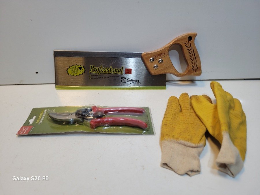 Set de Jardinería: Serrucho, Tijera de Poda y Guantes