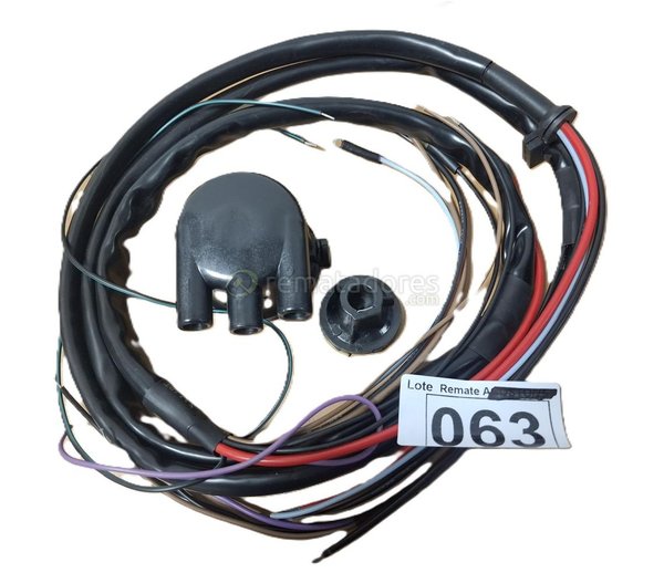 Cableado y Distribuidor de Encendido para Automotor