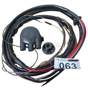 Lote siguiente: Cableado y Distribuidor de Encendido para Automotor