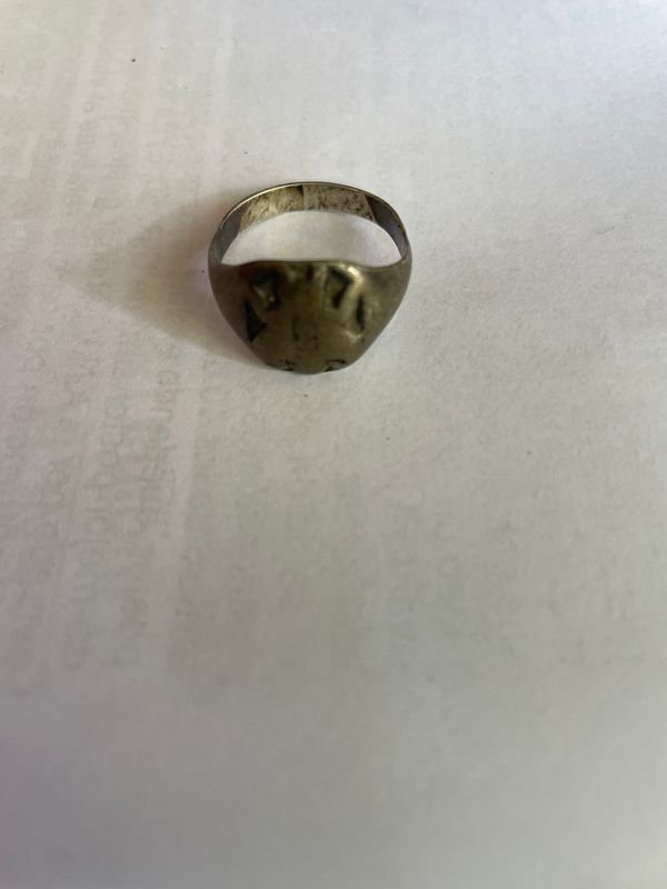Anillo de Maestro de Colección con Desgaste