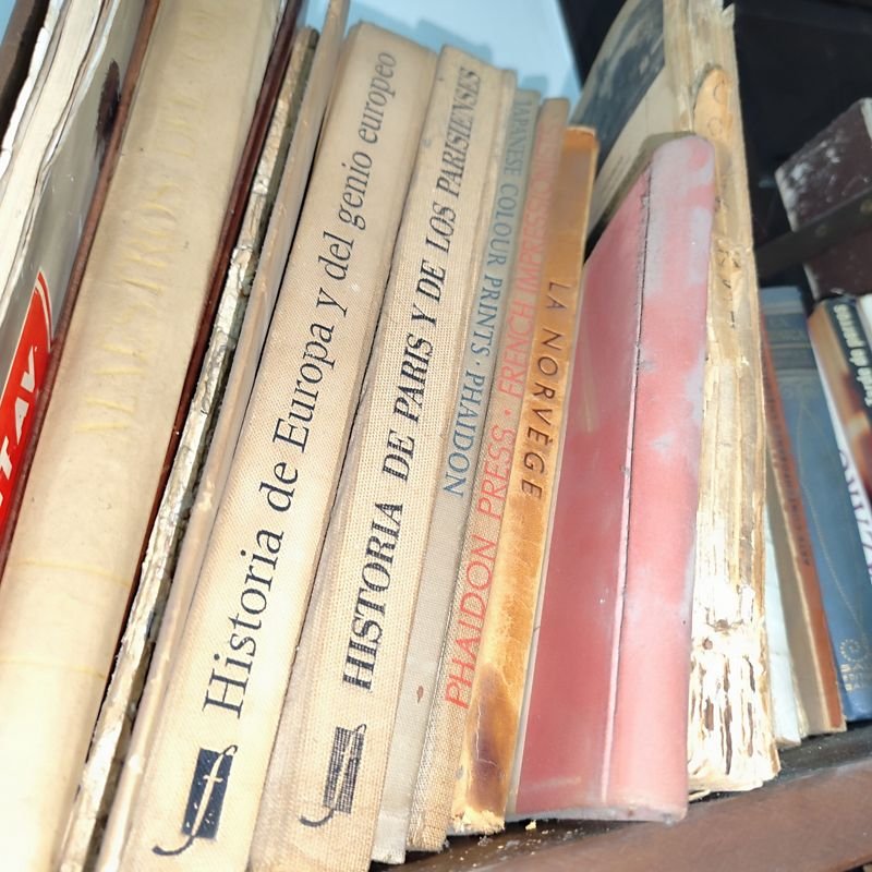 Item 880312 - Image 3