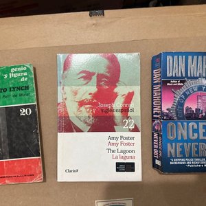 Lote anterior: Libros: Genio y Figura de Benito Lynch, La Laguna y Once in Never Out