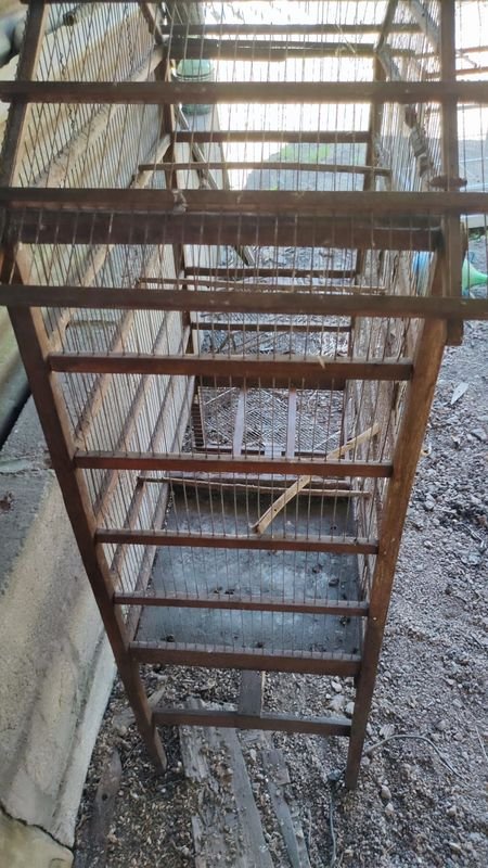 Item 869945 - Image 3