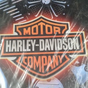 Chapa Decorativa Harley-Davidson Motor Company 30x20 cm - imagen 3