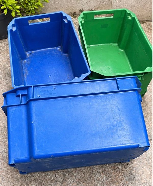 Lote de 3 Cajones Plásticos Grandes Azules y Verdes