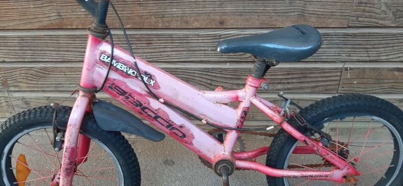 Bicicleta de Niño/Rodado 16 Pulgadas - imagen 2