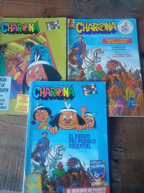 Lote anterior: Libros infantiles de Charona en buen estado
