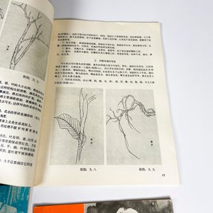 Cuatro libros orientales diferentes - imagen 5