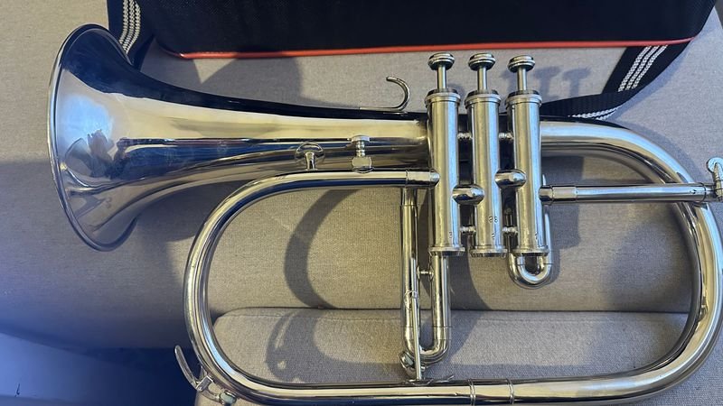 Fliscorno con estuche de música - imagen 7