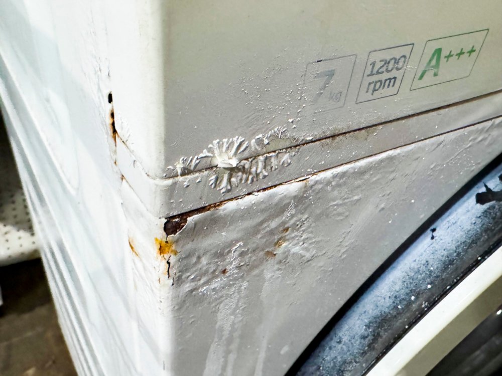 Item 491149 - Image 2