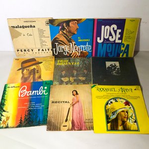 Lote de Discos de Vinilo de Diversos Artistas y Géneros - imagen 8