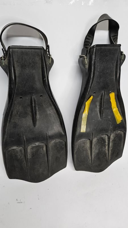 Patas de rana para colección - imagen 3