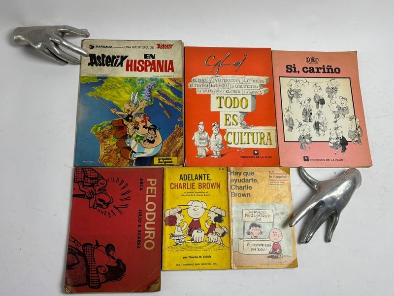Lote anterior: Colección de libros de Asterix, Mafalda y Peanuts