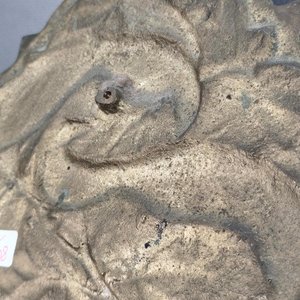 Placa de Bronce Macizo con Aves y Follaje en Relieve - imagen 7