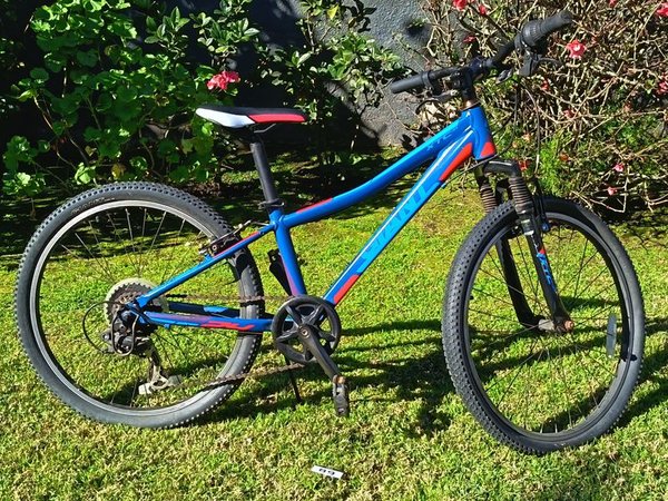 Bicicleta Giant XTC-JR - Tipo Montaña Juvenil Rodado 24 En Buen Estado - Cubiertas Desinfladas