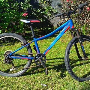 Lote anterior: Bicicleta Giant XTC-JR - Tipo Montaña Juvenil Rodado 24 En Buen Estado - Cubiertas Desinfladas