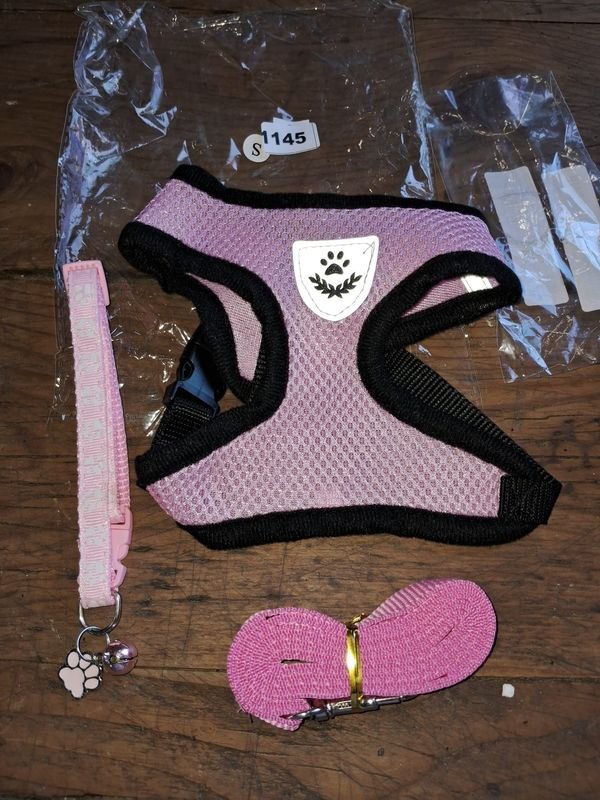 Accesorios para perros en rosa - imagen 2