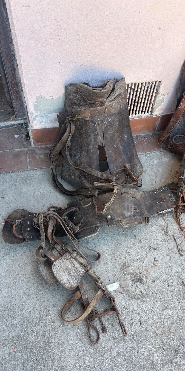 Item 63193 - Image 0