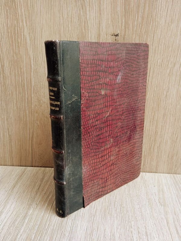 Item 884290 - Image 0