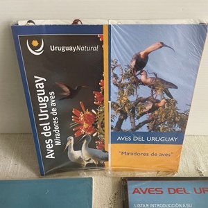 Lote de Libros: Aves del Uruguay y Marinas - imagen 2