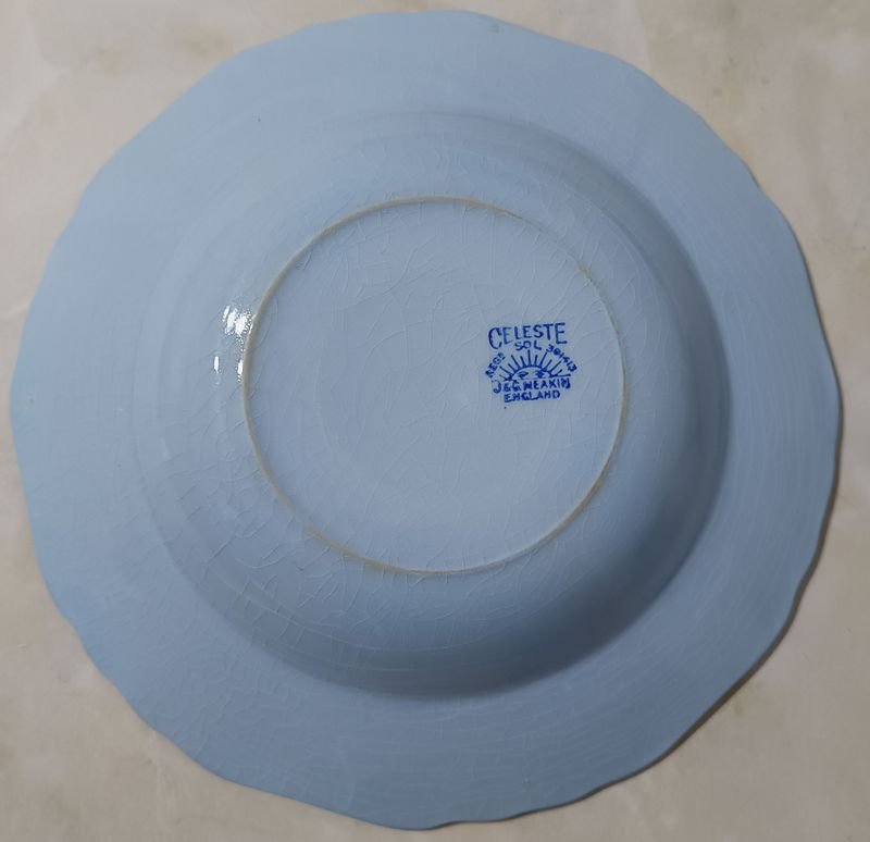 Platos de porcelana INGLESA J&G Meakin craquelé (línea Celeste) - imagen 3