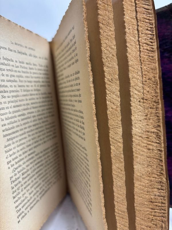 Libros antiguos de la etopeya de Artigas por Zorrilla de San Martin - imagen 7